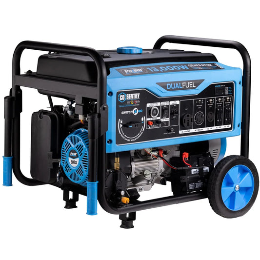 Pulsar 13,000 Watt Dual-Fuel Portable Generator with CO Sentry