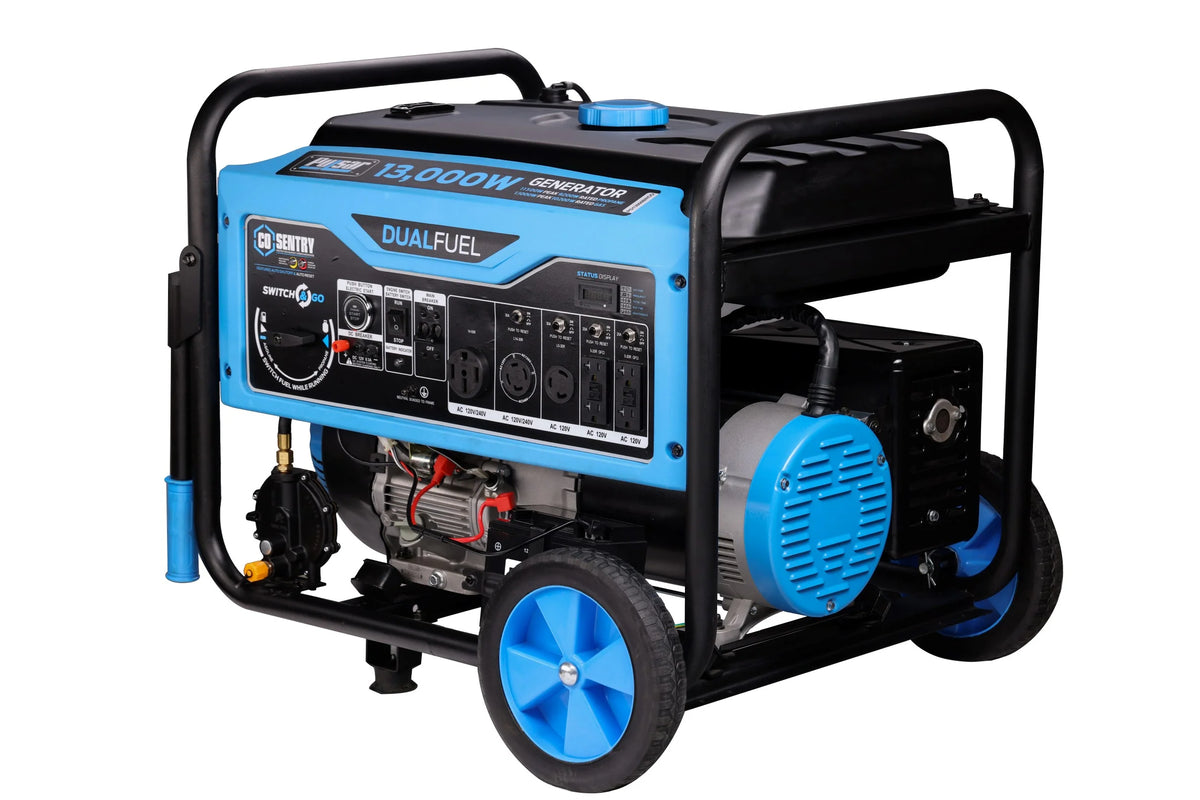 Pulsar 13,000 Watt Dual-Fuel Portable Generator with CO Sentry