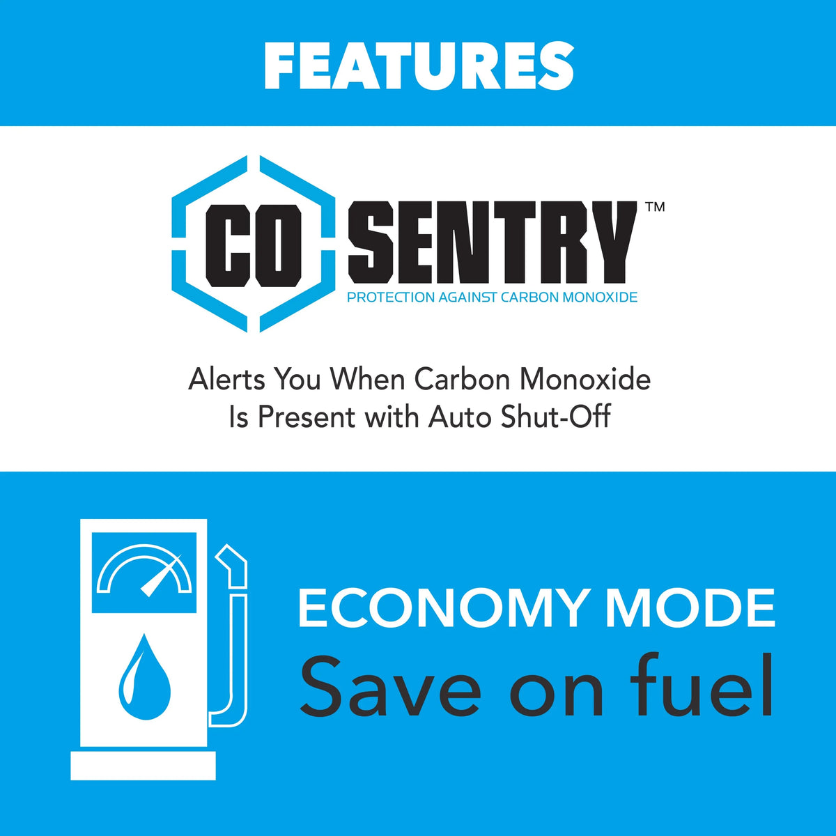 Pulsar 4,000 Watt Dual-Fuel Inverter Generator with CO Sentry