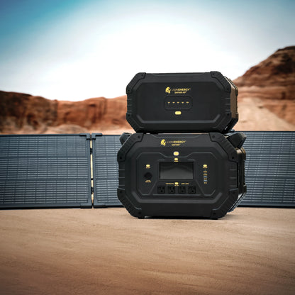 Lion Energy RECERTIFIED - Safari