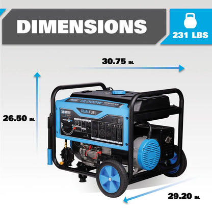 Pulsar 13,000 Watt Dual-Fuel Portable Generator with CO Sentry